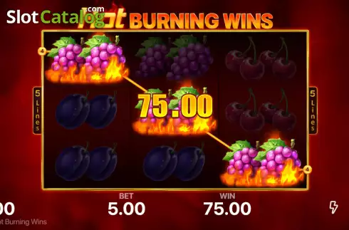Οθόνη3. Hot Burning Wins Κουλοχέρης