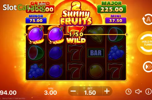 Οθόνη3. Sunny Fruits 2: Hold and Win Κουλοχέρης