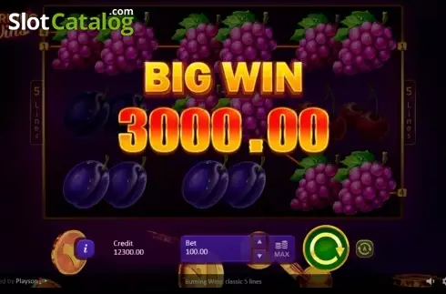 Οθόνη8. Burning Wins: classic 5 lines Κουλοχέρης
