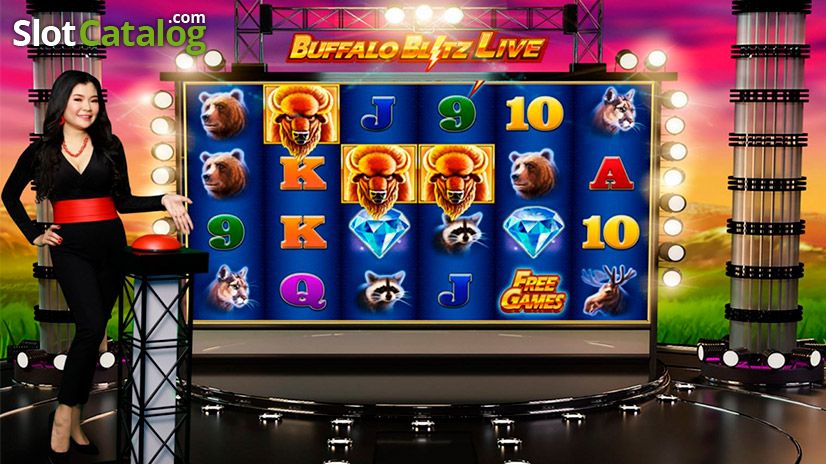 Buffalo Blitz Live Buffalo Blitz Live