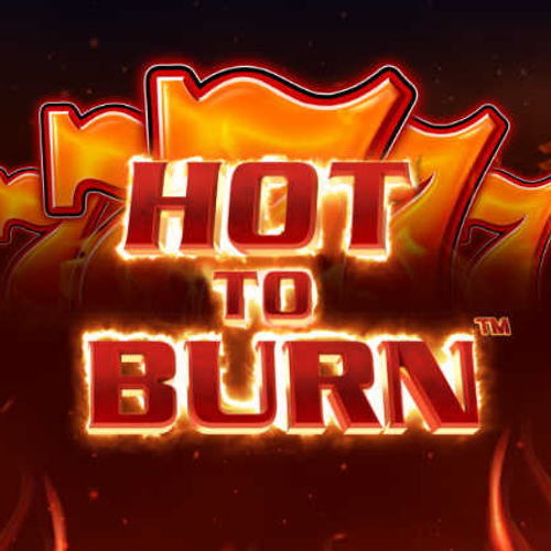 Hot to Burn Λογότυπο