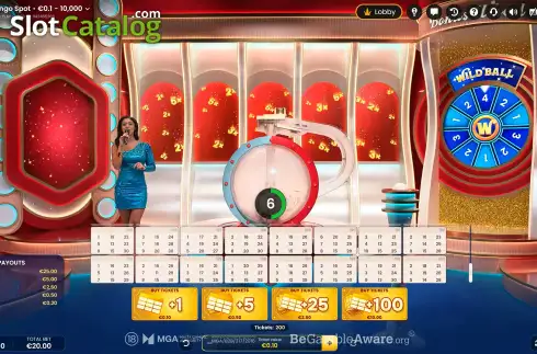 Οθόνη2. The Bingo Spot Κουλοχέρης