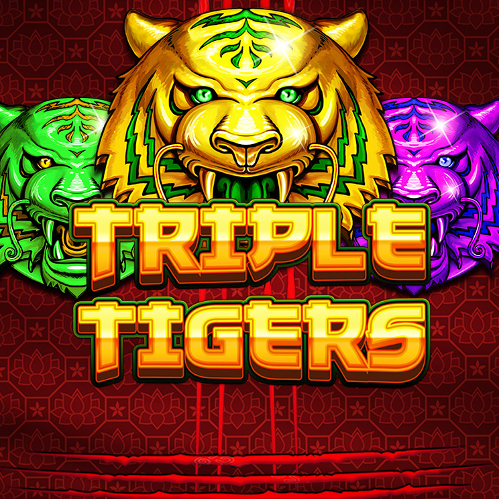 Triple Tigers (Pragmatic Play) Λογότυπο