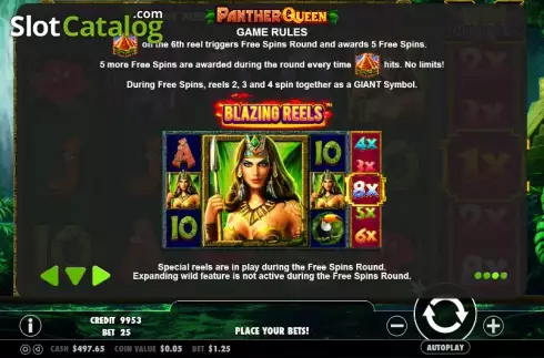 Πίνακας πληρωμών 3. Panther Queen Κουλοχέρης