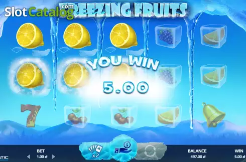 Οθόνη3. Freezing Fruits Κουλοχέρης
