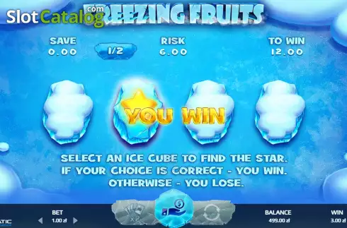 Οθόνη5. Freezing Fruits Κουλοχέρης