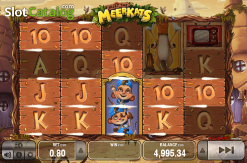 Αγριος. Meet the Meerkats Κουλοχέρης