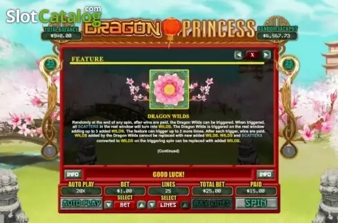 Οθόνη6. Dragon Princess (RTG) Κουλοχέρης