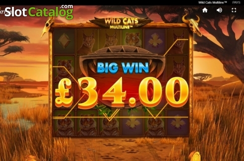 Οθόνη5. Wild Cats Multiline Κουλοχέρης