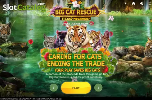 Οθόνη2. Big Cat Rescue Megaways Κουλοχέρης