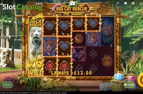 Οθόνη4. Big Cat Rescue Megaways Κουλοχέρης