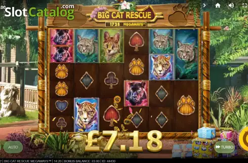 Οθόνη5. Big Cat Rescue Megaways Κουλοχέρης