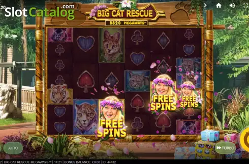 Οθόνη6. Big Cat Rescue Megaways Κουλοχέρης