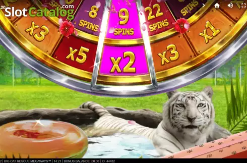 Οθόνη8. Big Cat Rescue Megaways Κουλοχέρης