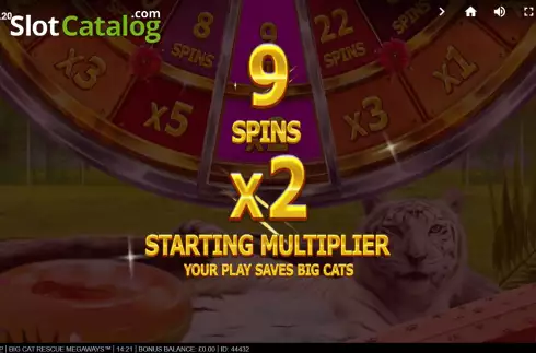 Οθόνη9. Big Cat Rescue Megaways Κουλοχέρης