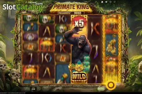 Οθόνη9. Primate King Megaways Κουλοχέρης
