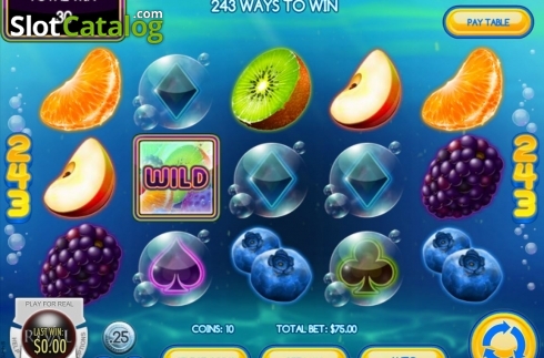 Οθόνη4. Fruit Splash (Rival Gaming) Κουλοχέρης