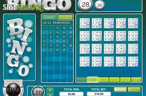 Οθόνη3. Instant Bingo (Rival Gaming) Κουλοχέρης