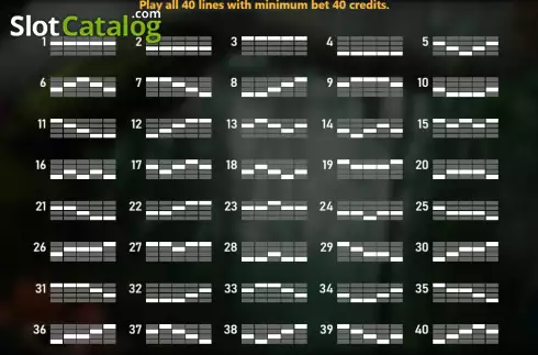 Οθόνη9. Jungle (Royal Slot Gaming) Κουλοχέρης