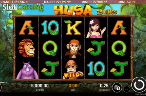 Οθόνη2. HUSA Κουλοχέρης