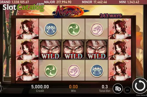Οθόνη2. Ninja (Royal Slot Gaming) Κουλοχέρης
