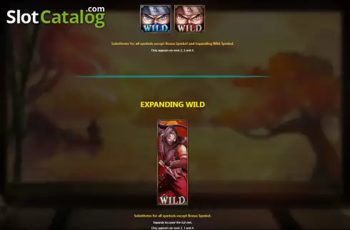 Οθόνη7. Ninja (Royal Slot Gaming) Κουλοχέρης