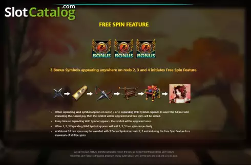 Οθόνη9. Ninja (Royal Slot Gaming) Κουλοχέρης