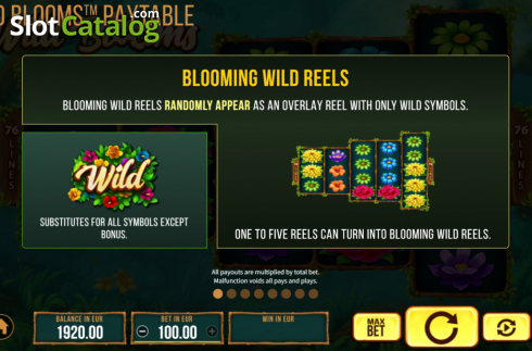 Οθόνη8. Wild Bloom Κουλοχέρης 
