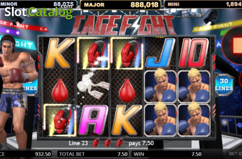 Οθόνη5. Cage Fight Κουλοχέρης