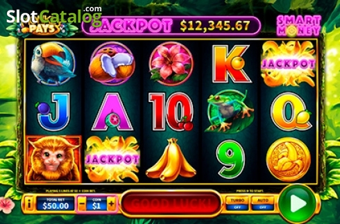 Οθόνη2. Monkey Pays Κουλοχέρης