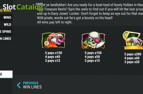 Οθόνη6. Wild Treasure Reels Κουλοχέρης