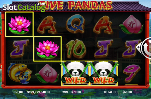 Οθόνη4. Five Pandas Κουλοχέρης 