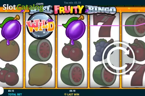 Οθόνη4. Reel Fruity Bingo Κουλοχέρης
