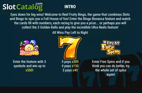 Οθόνη5. Reel Fruity Bingo Κουλοχέρης