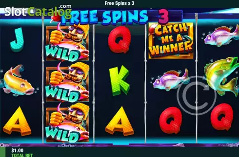 Οθόνη6. Catch Me A Winner Κουλοχέρης