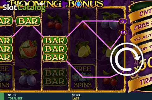 Οθόνη3. Blooming Bonus Κουλοχέρης