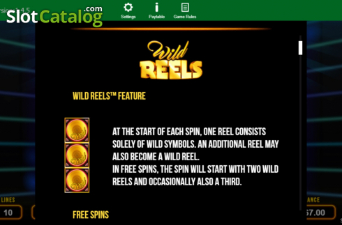 Οθόνη8. Wild Reels Κουλοχέρης