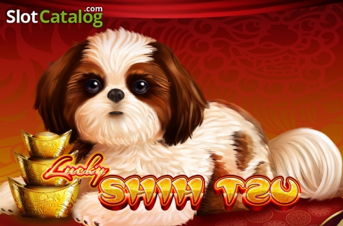 Lucky Shih Tzu Λογότυπο Lucky Shih Tzu Λογότυπο