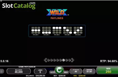 Οθόνη9. X Wild X Κουλοχέρης