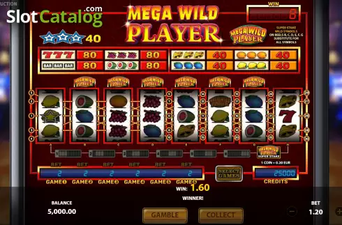 Οθόνη3. Mega Wild Player Κουλοχέρης 