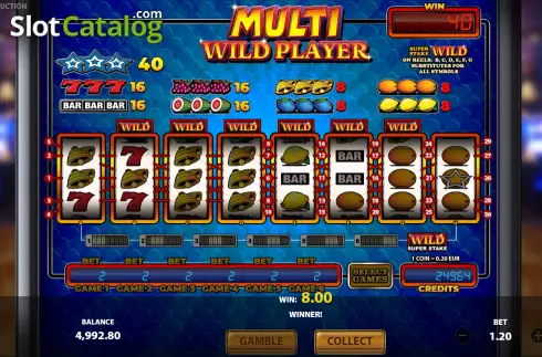 Οθόνη3. Multi Wild Player Κουλοχέρης