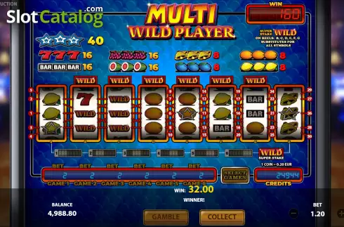 Οθόνη4. Multi Wild Player Κουλοχέρης