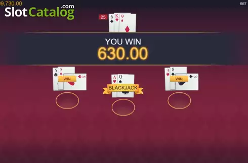 Οθόνη5. Perfect Strategy Blackjack Κουλοχέρης 