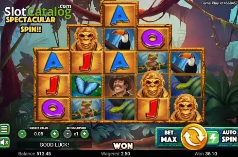 Οθόνη5. Golden Amazon Κουλοχέρης