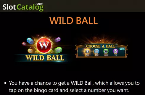 Οθόνη7. Bingo Adventure Κουλοχέρης
