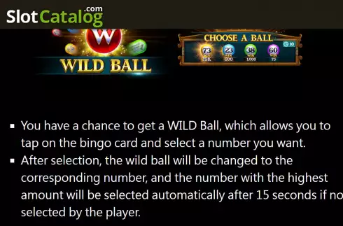 Οθόνη8. Bingo Adventure Κουλοχέρης