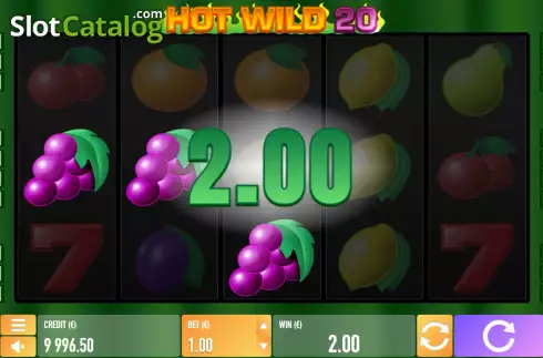 Οθόνη3. Hot Wild 20 Κουλοχέρης