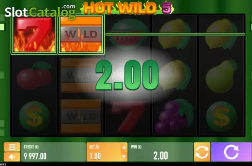 Οθόνη3. Hot Wild 5 Κουλοχέρης