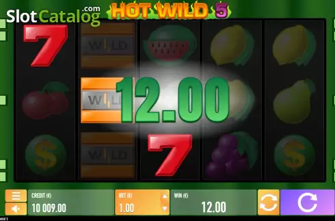 Οθόνη4. Hot Wild 5 Κουλοχέρης