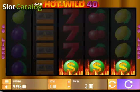 Οθόνη3. Hot Wild 40 Κουλοχέρης